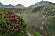 35 Lago di Sopra (2095 m) con Monte Valegino a dx